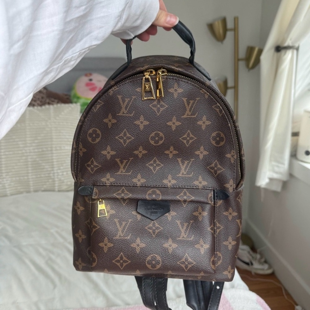 Louis Vuitton Palm Springs Backpack in Brown Monogram